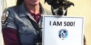500th Dog Saved